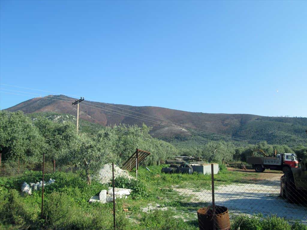 Land im Kallirachi, Anatoliki Makedonia kai Thraki 10809618