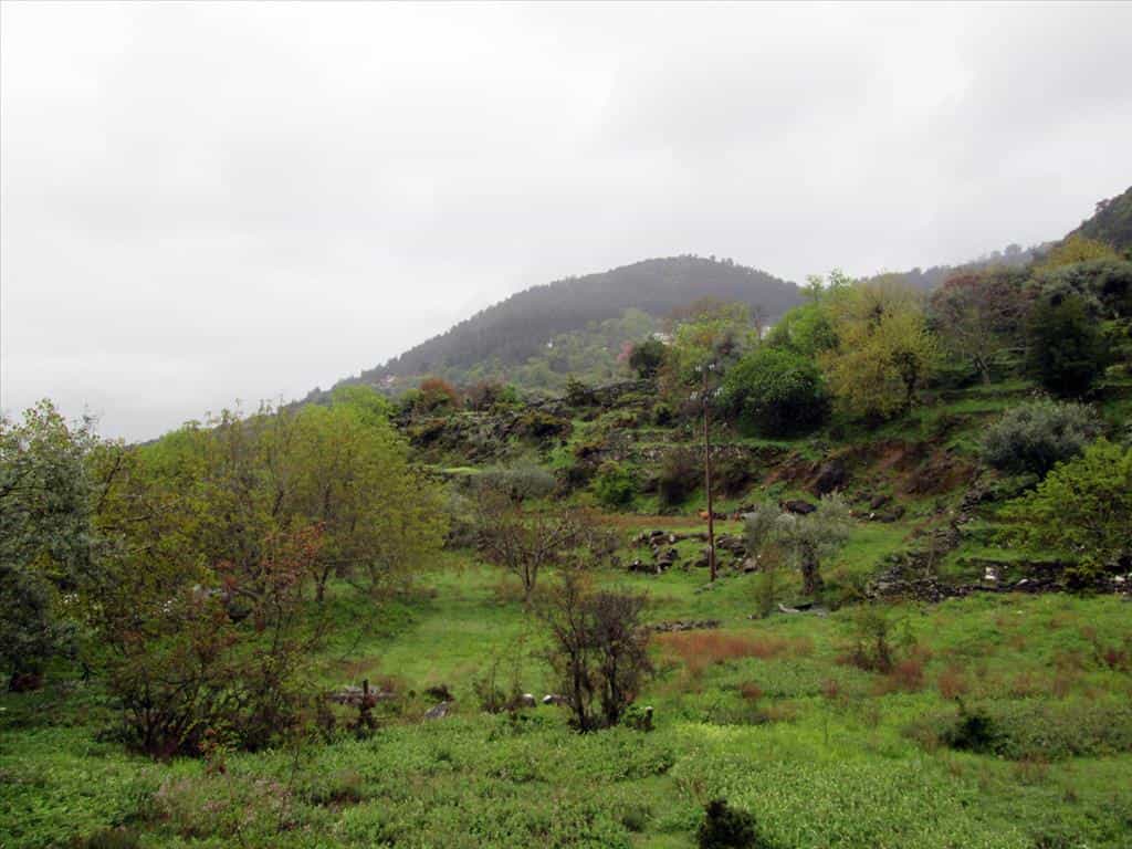 Terre dans Potamie, Anatoliki Makedonia kai Thraki 10809635