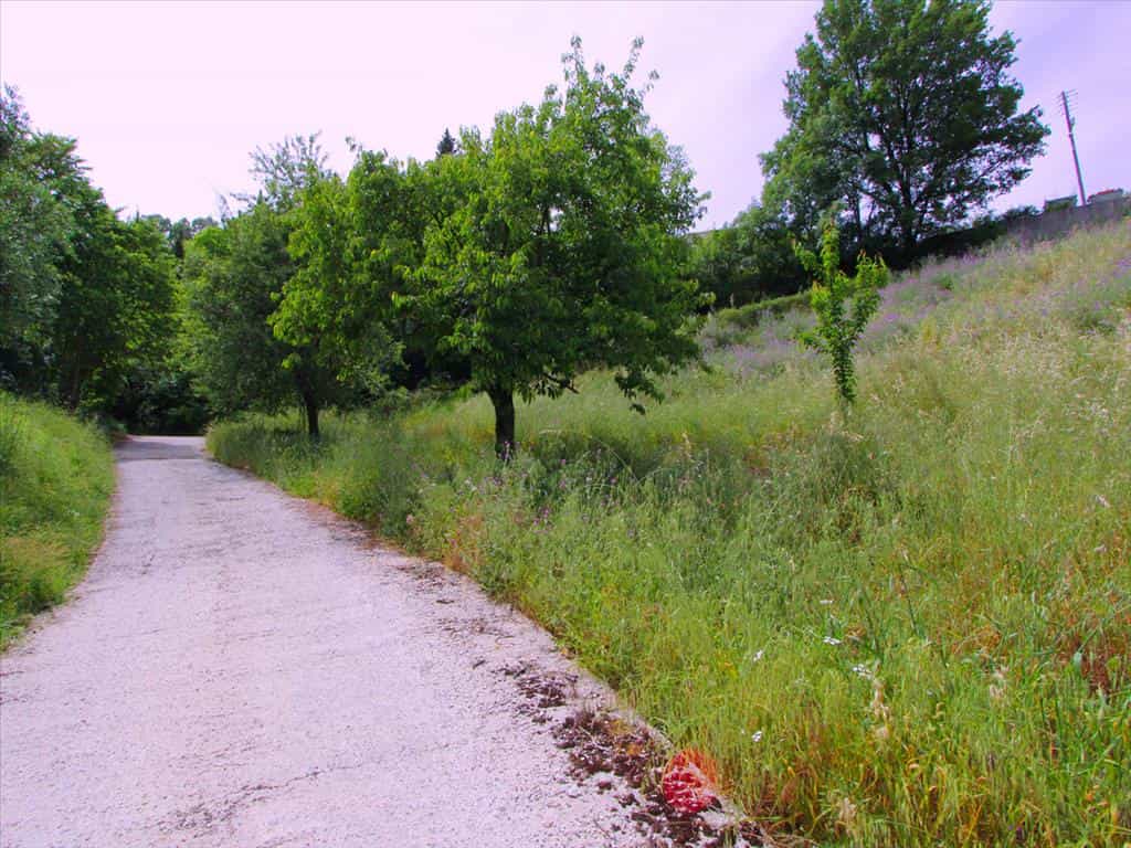 Land in Kassiopi, Ionia Nisia 10809650