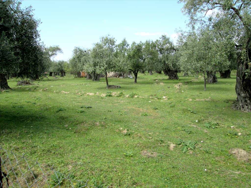 Tanah dalam Maries, Anatoliki Makedonia kai Thraki 10809652