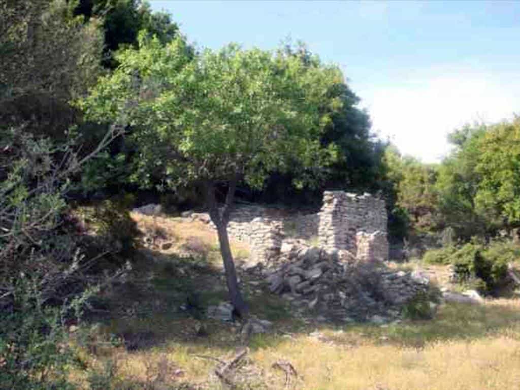 Tanah dalam Theologos, Anatoliki Makedonia kai Thraki 10809669