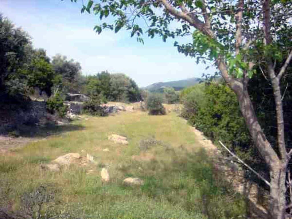 Tanah dalam Theologos, Anatoliki Makedonia kai Thraki 10809669