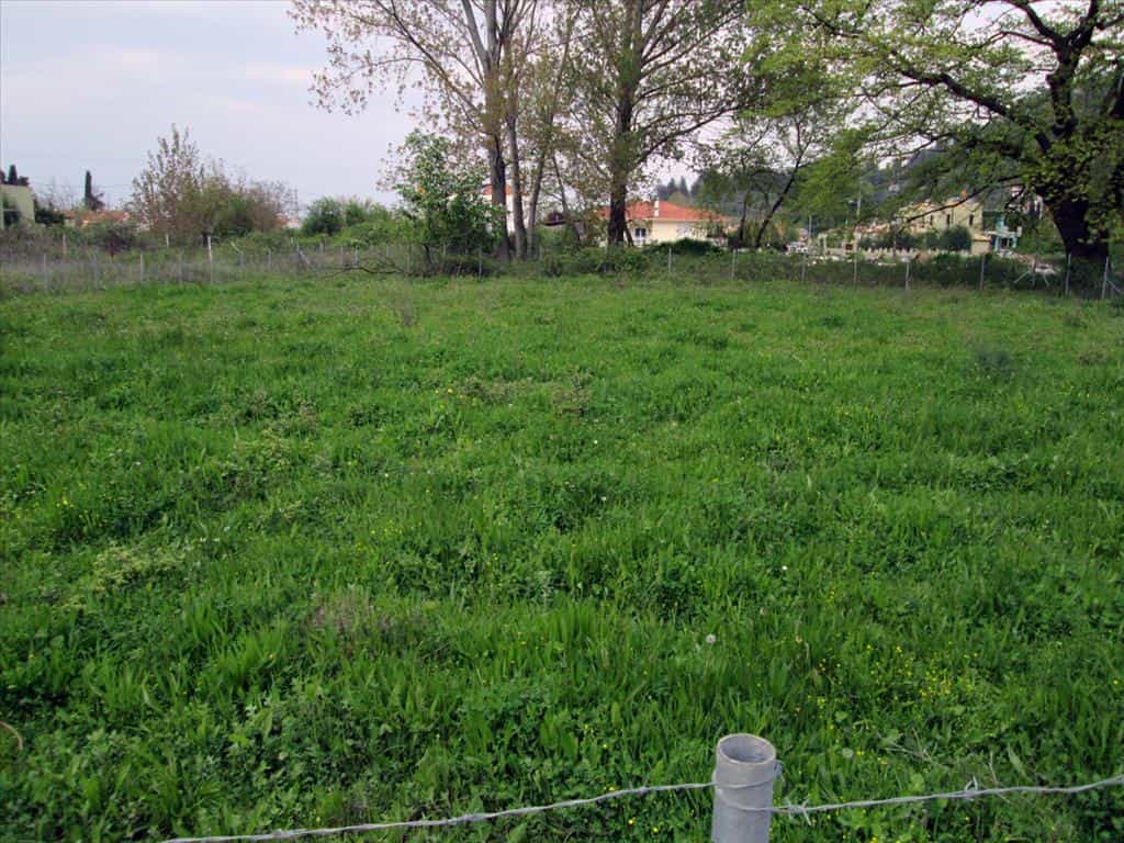Tanah dalam Pitsiota, Sterea Ellada 10809670