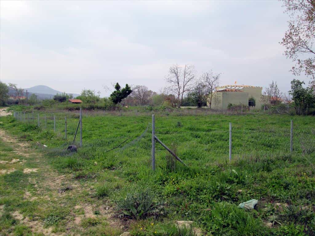 Tanah dalam Pitsiota, Sterea Ellada 10809670