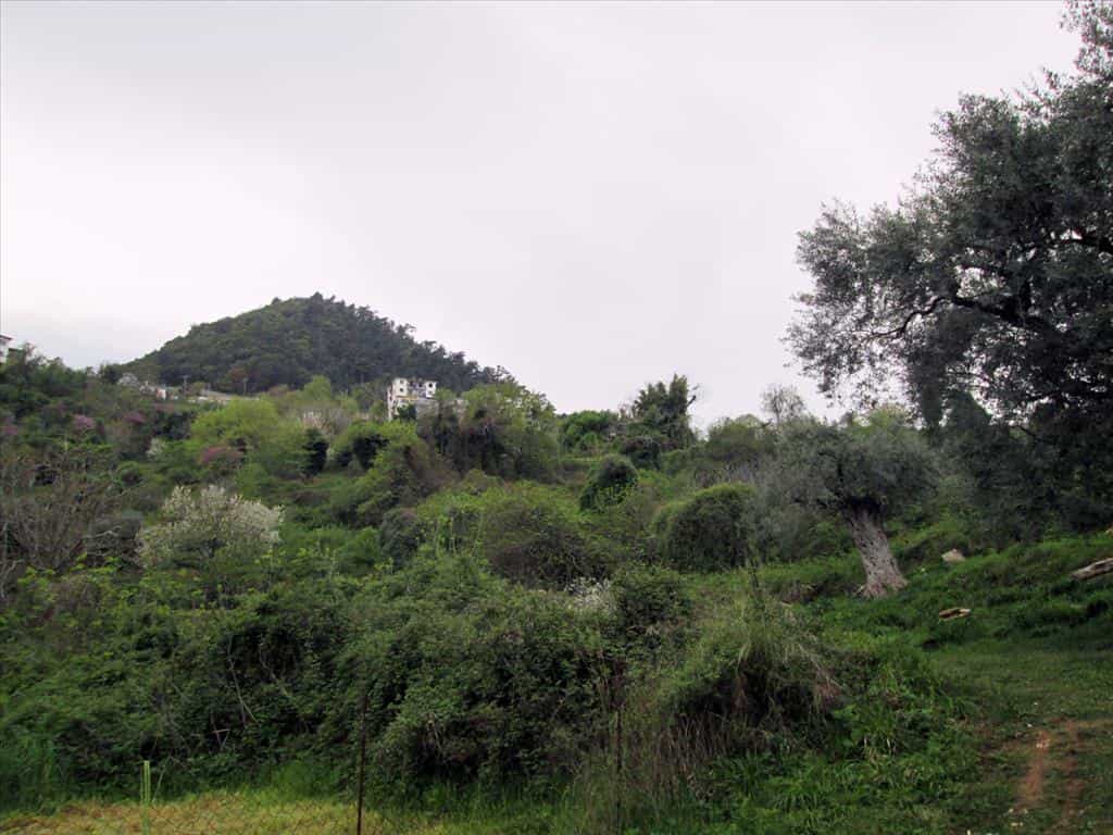 Tanah dalam Potamia, Anatoliki Makedonia kai Thraki 10809675