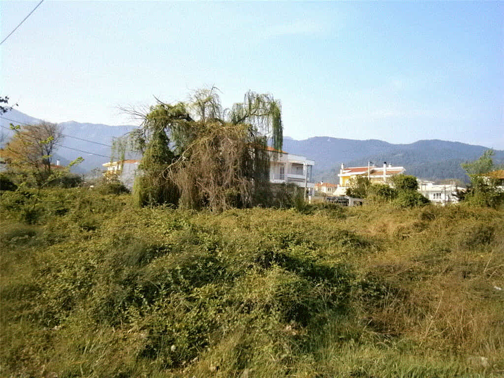 Land in Pitsiota, Sterea Ellada 10809677