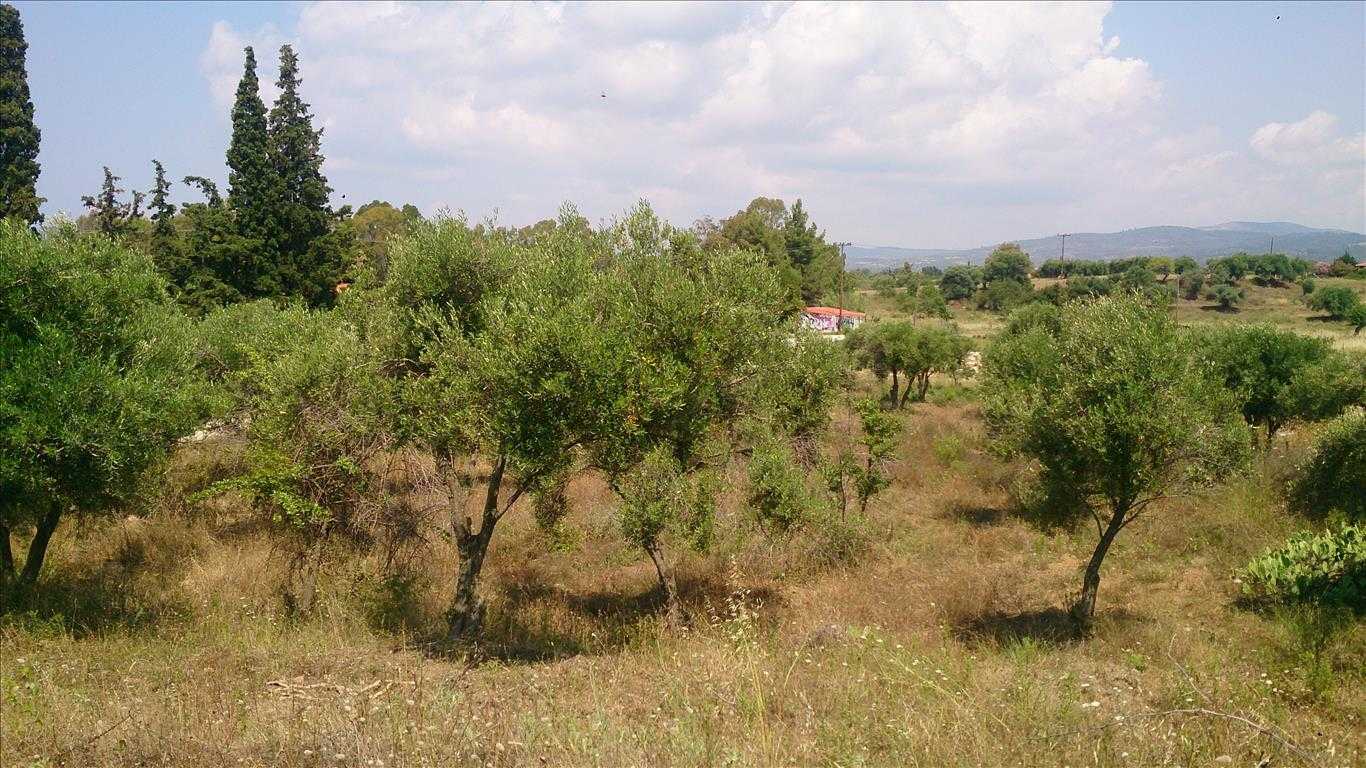 Tanah di Nikiti, Kentriki Makedonia 10809700