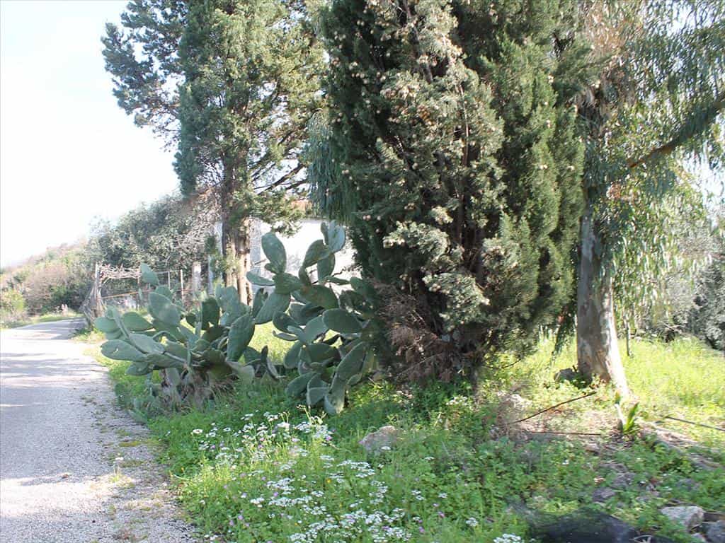 Land in Acharavi, Ionia Nisia 10809705