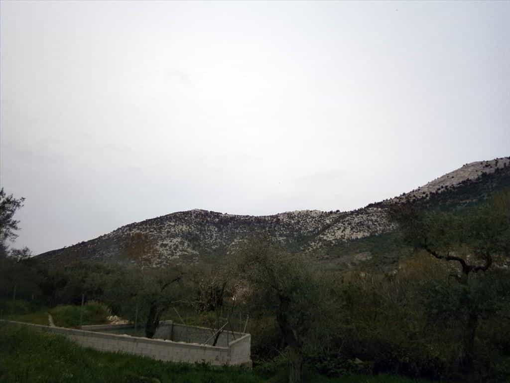 Tierra en Tasos, Anatoliki Makedonia kai Thraki 10809726