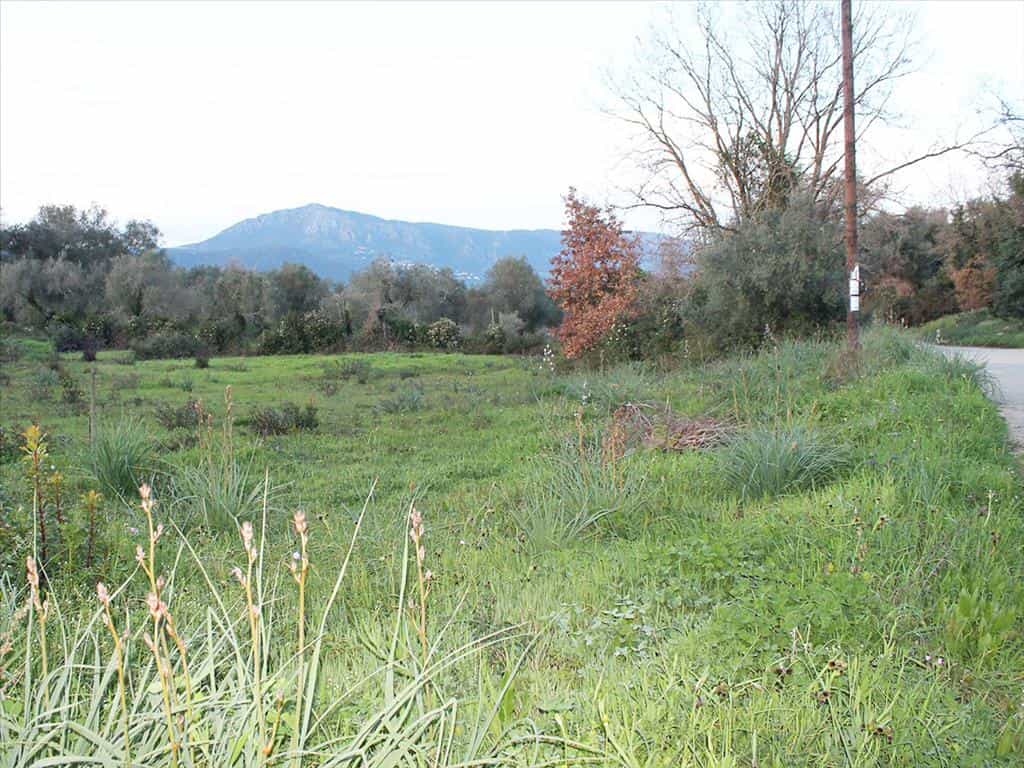 Tanah di Ypsos, Ionia Nisia 10809760