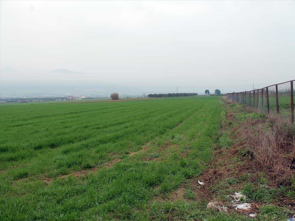 Tanah dalam Tagarades, Kentriki Makedonia 10809780