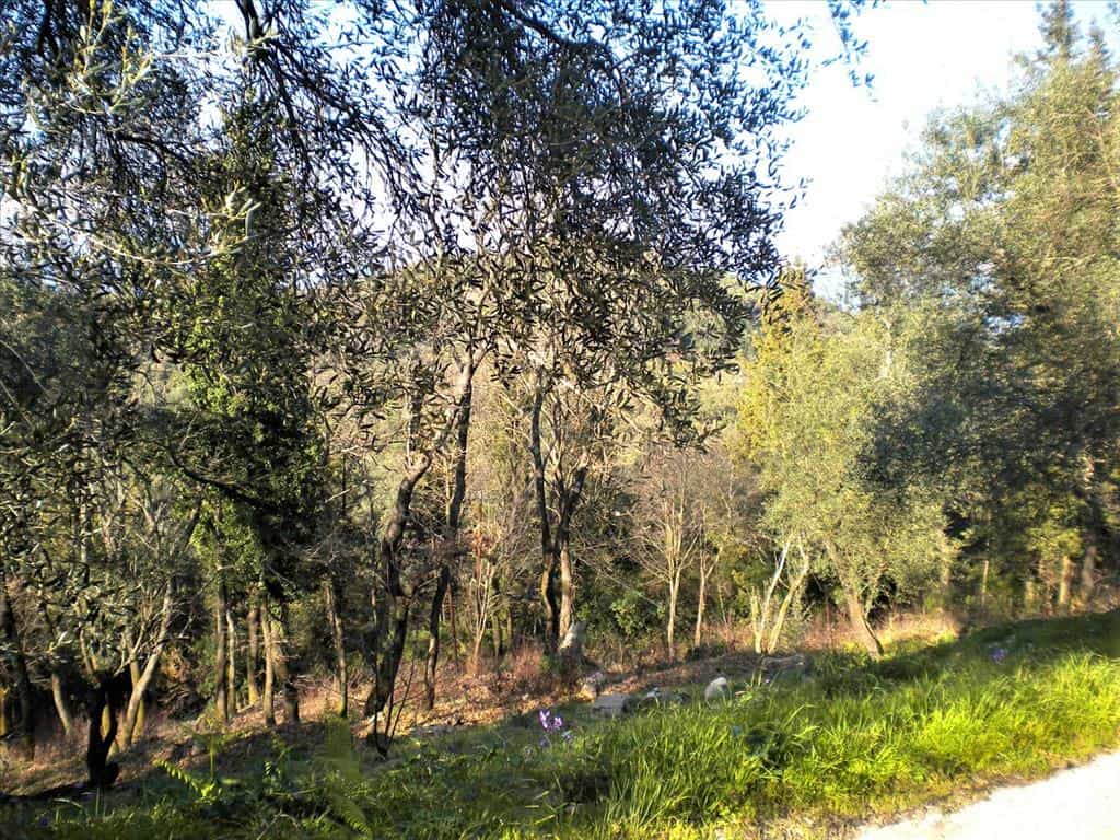 Land in Kassiopi, Ionia Nisia 10809844