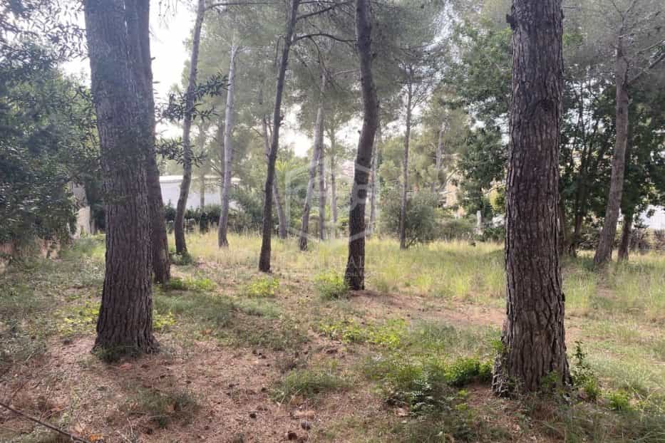 Land in Cunit, Catalonia 10810293
