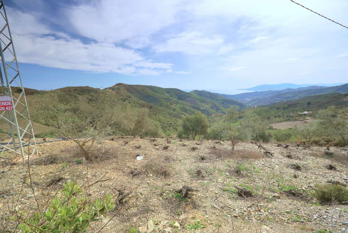 Terre dans Moclinejo, Andalousie 10811490