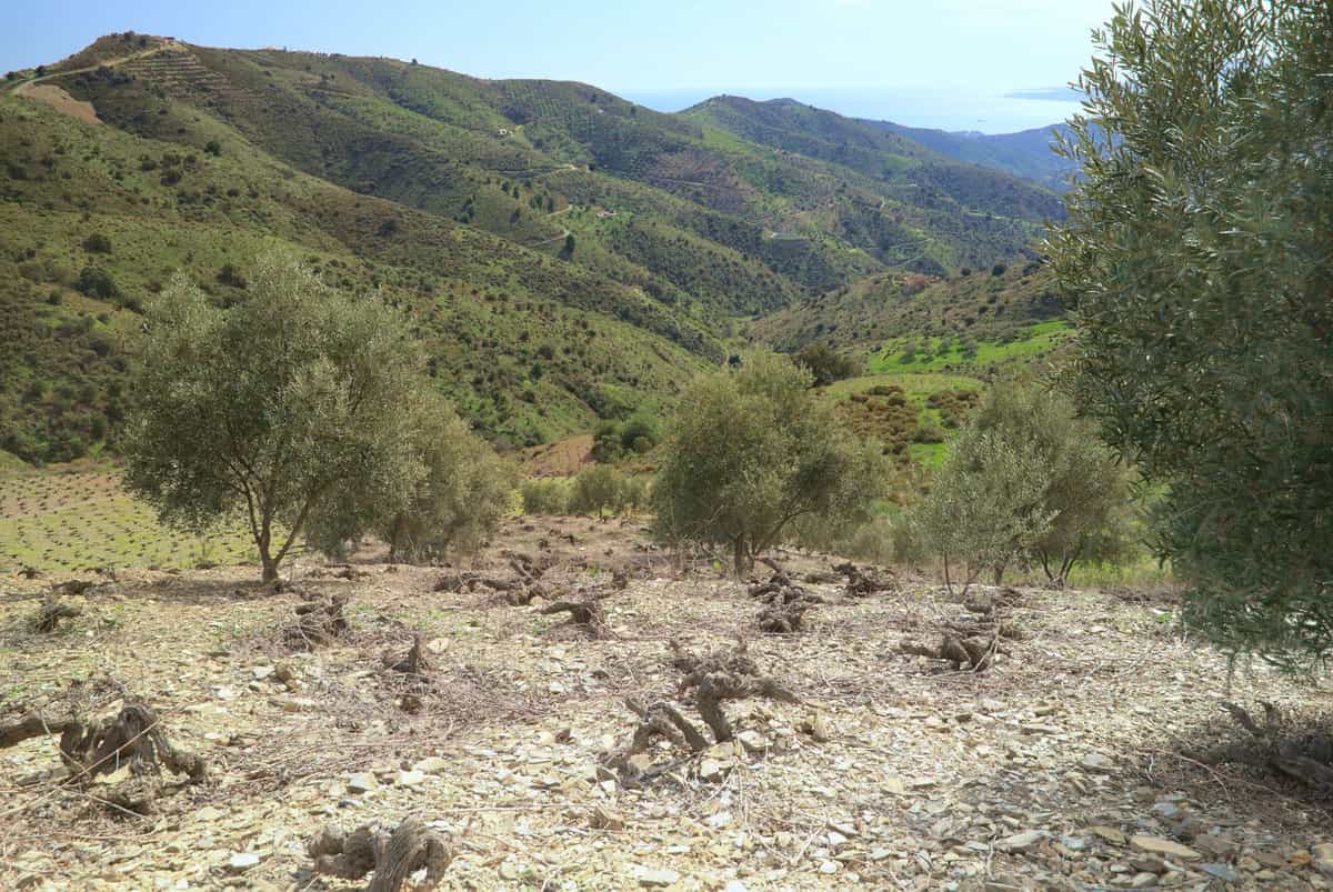 Land im Moclinejo, Andalusien 10811490