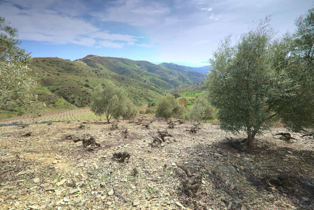 Tanah di Moclinejo, Andalusia 10811490