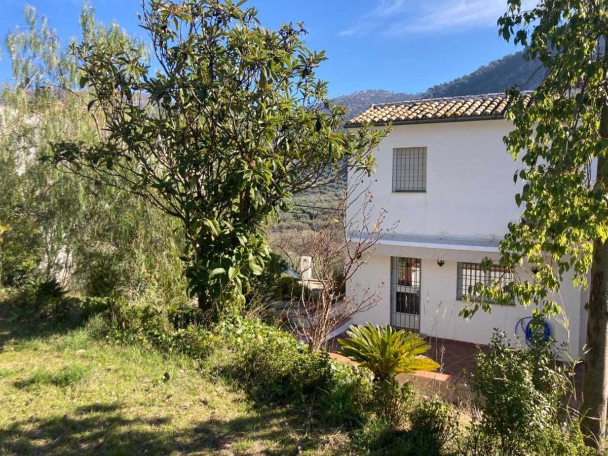 House in , Andalusia 10811500