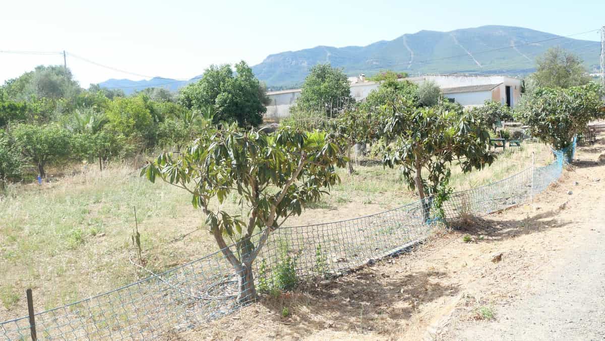 Tanah di Alhaurin el Grande, Andalusia 10811562