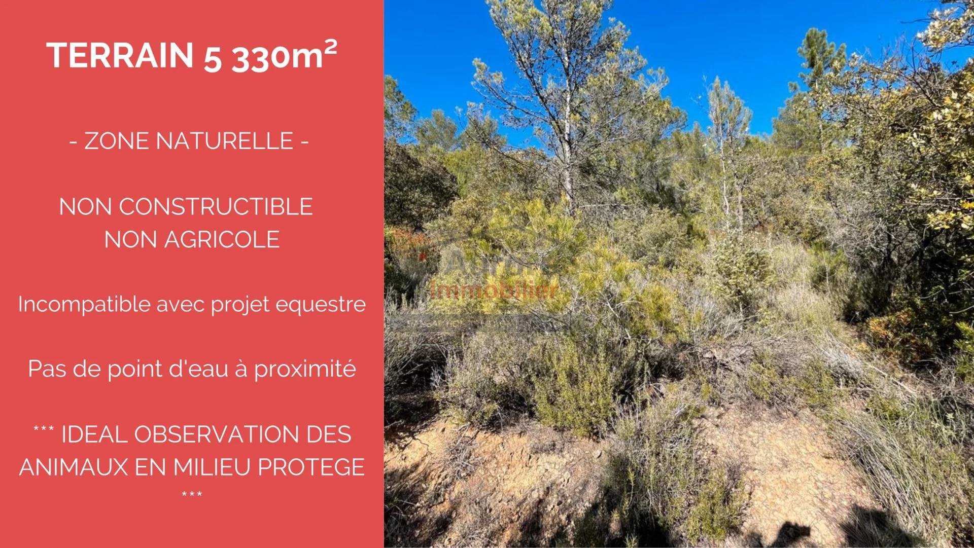 Land in Brignoles, Provence-Alpes-Cote d'Azur 10811892