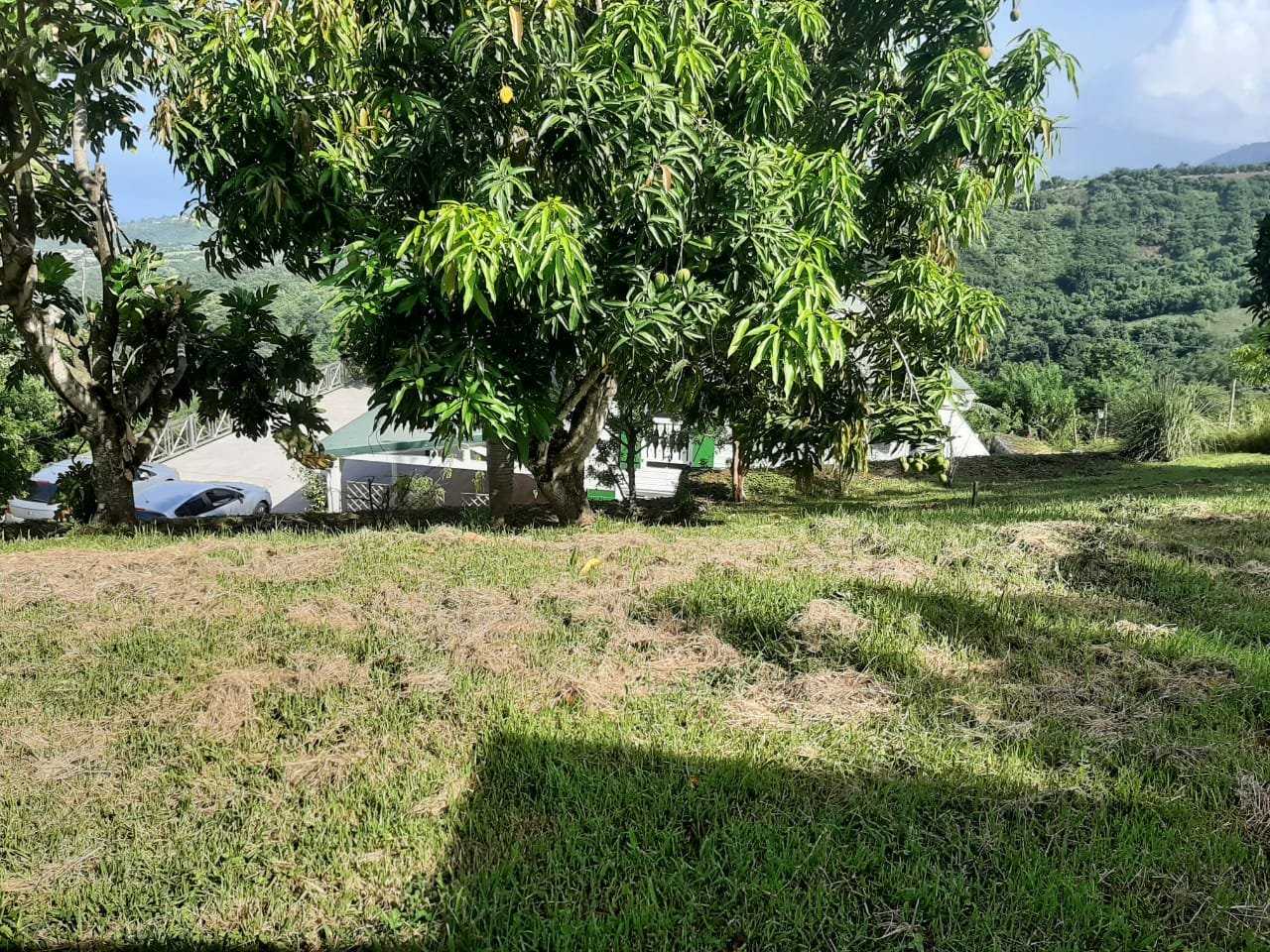 Casa nel Bellefontaine, Martinique 10812121