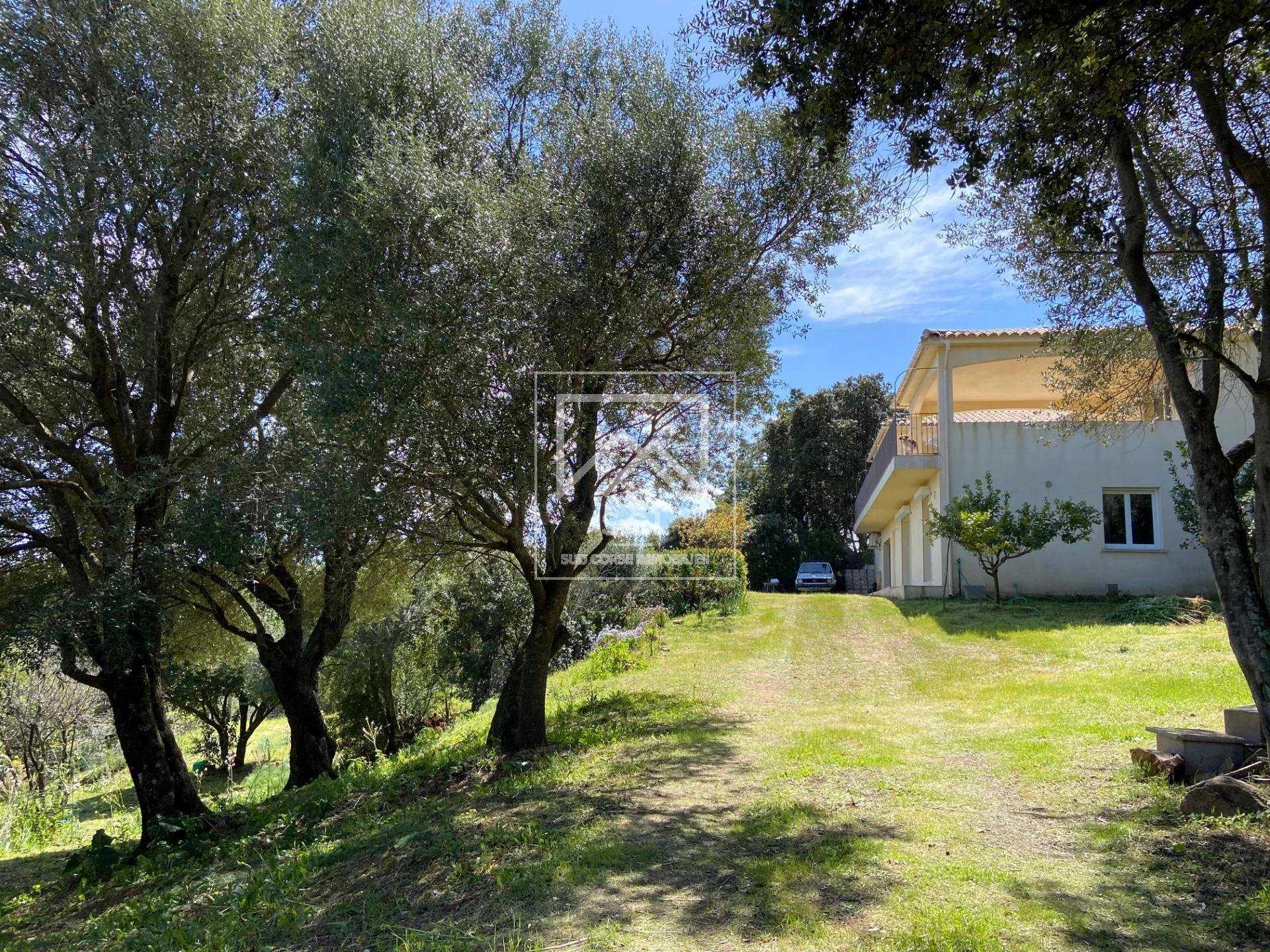 Hus i Sotta, Korsika 10812573
