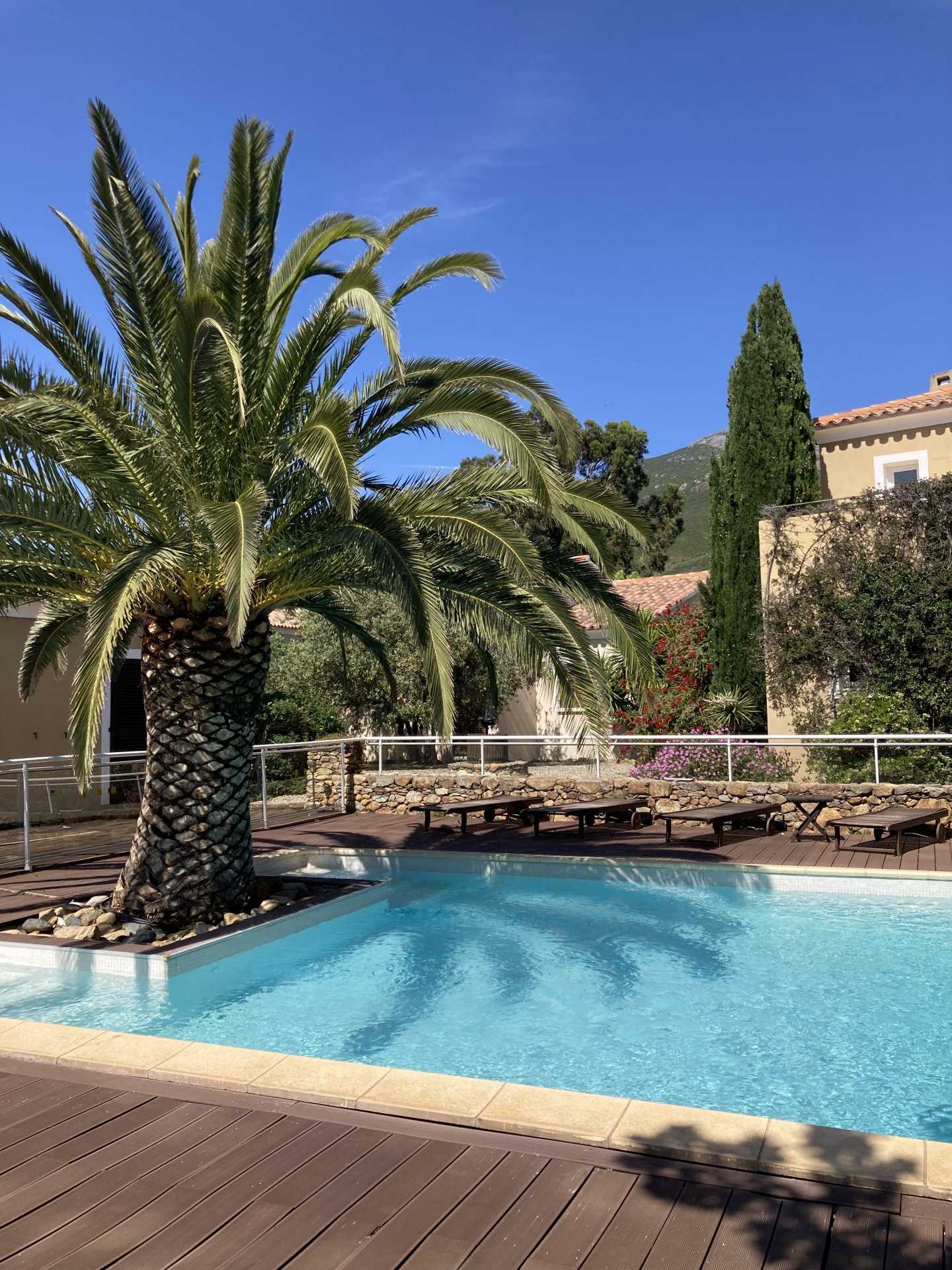 Condominio nel Poggio-d'Oletta, Corsica 10812687