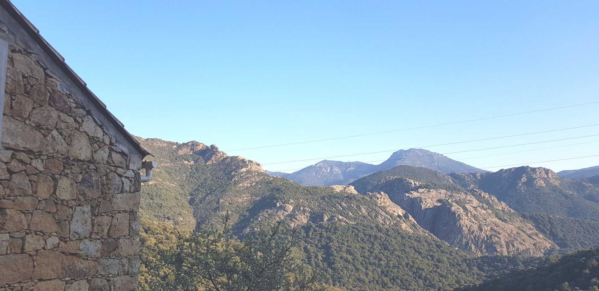 Земля в Ocana, Corsica 10813389
