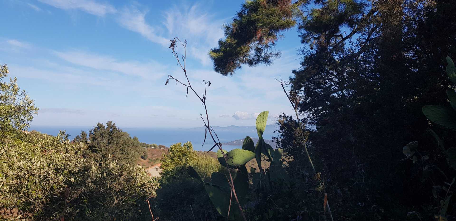 Land i Coti-Chiavari, Korsika 10813401