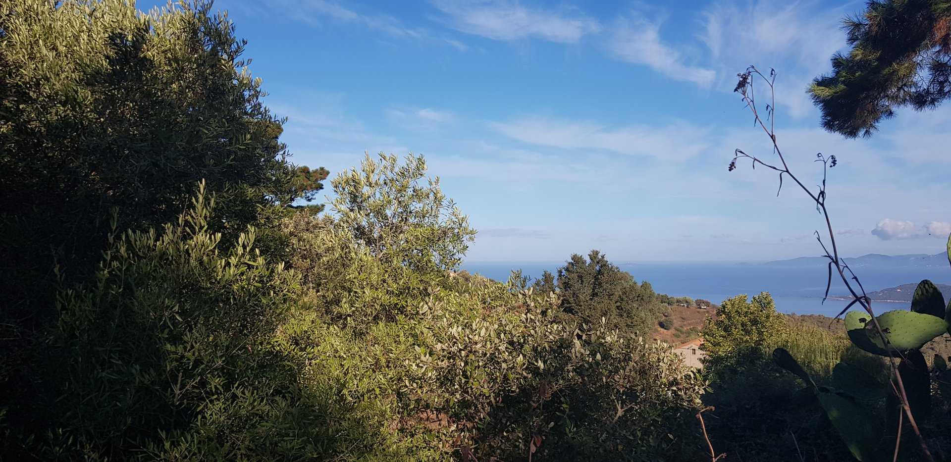 Tanah dalam Coti-Chiavari, Corsica 10813401