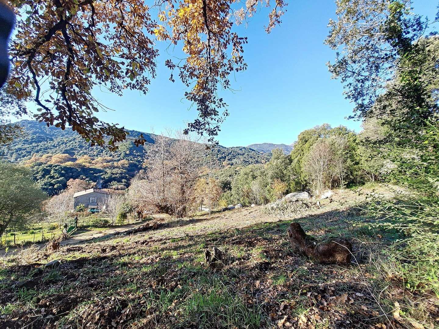 Tanah di Forciolo, Korsika 10813578