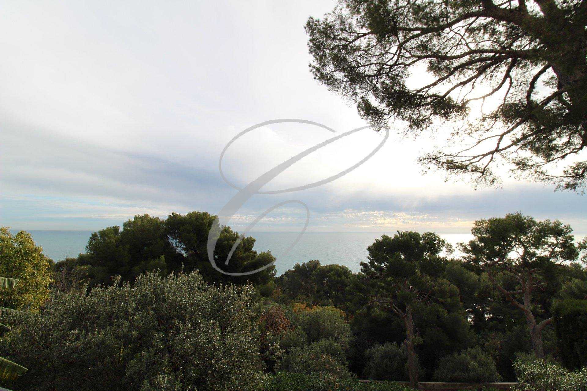 Ejerlejlighed i Cap-d'Ail, Provence-Alpes-Cote d'Azur 10813670
