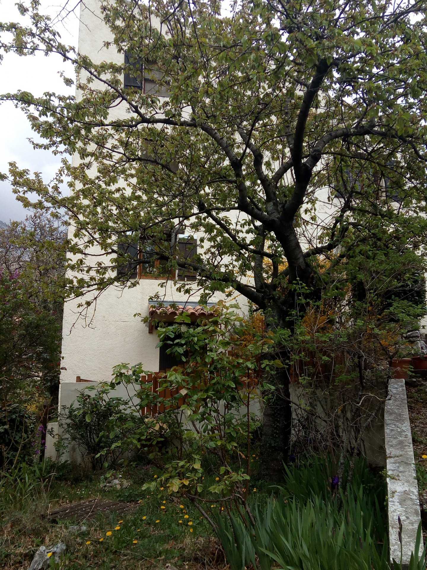 房子 在 Gréolières, Alpes-Maritimes 10813955