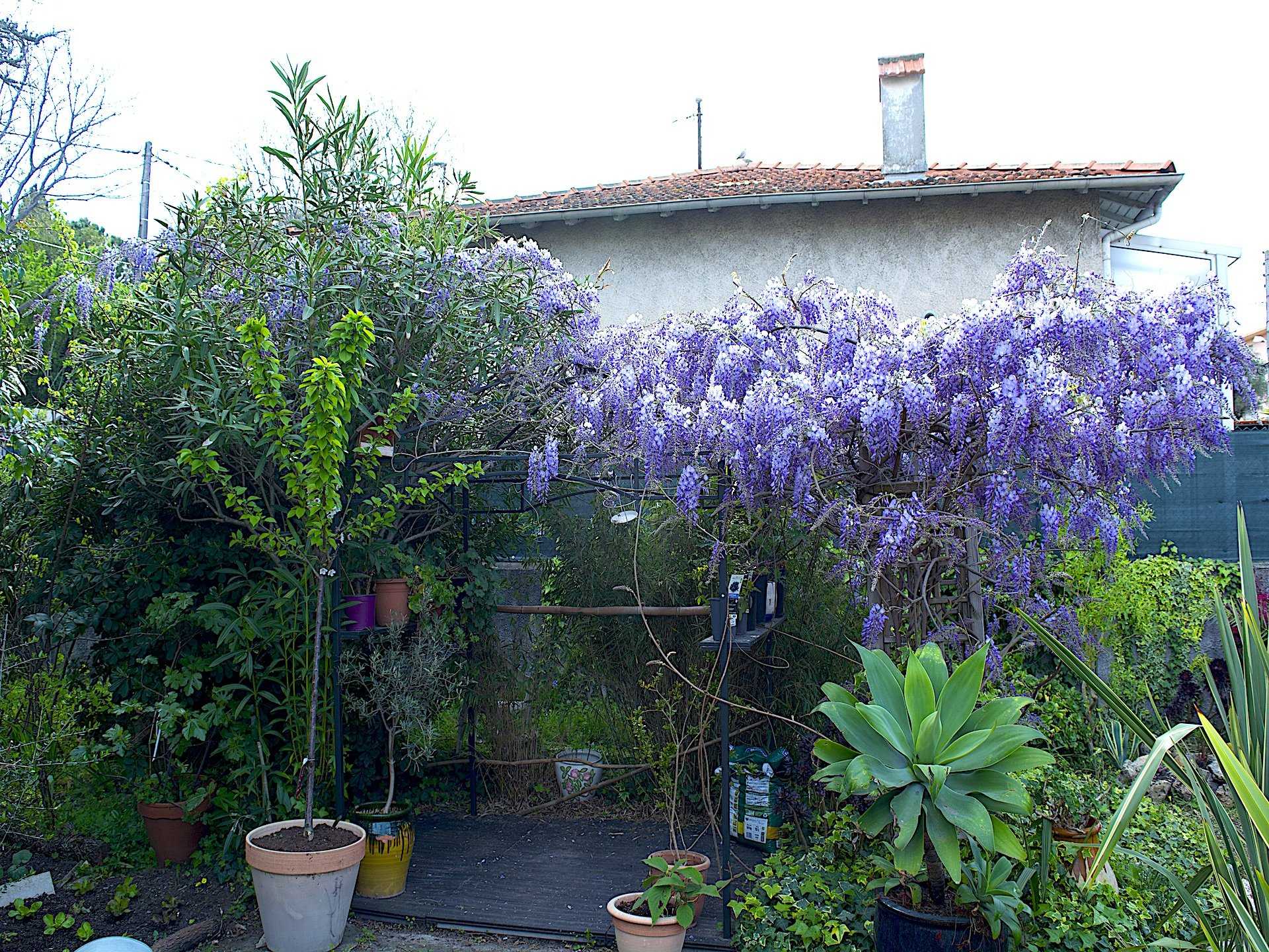 Hus i Juan-les-Pins, Provence-Alpes-Cote d'Azur 10813997