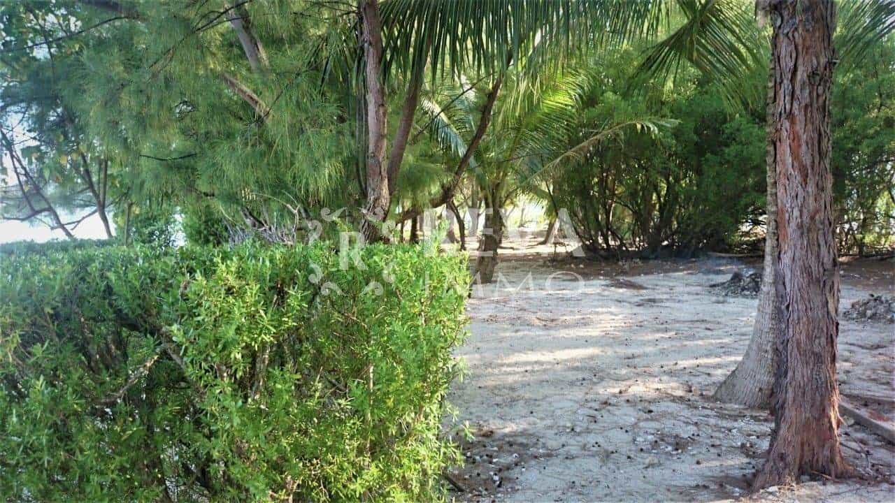 Land in Taha'a, Îles Sous-le-Vent 10814669