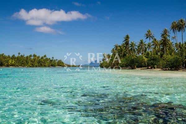 Tierra en Papeete, Islas del Vent 10814669