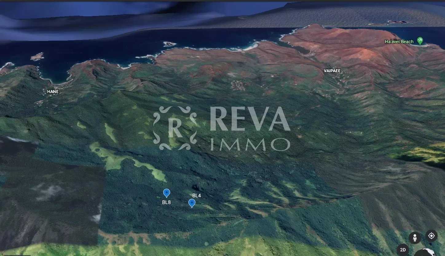 Terra no pohua, Îles du Vent 10814685