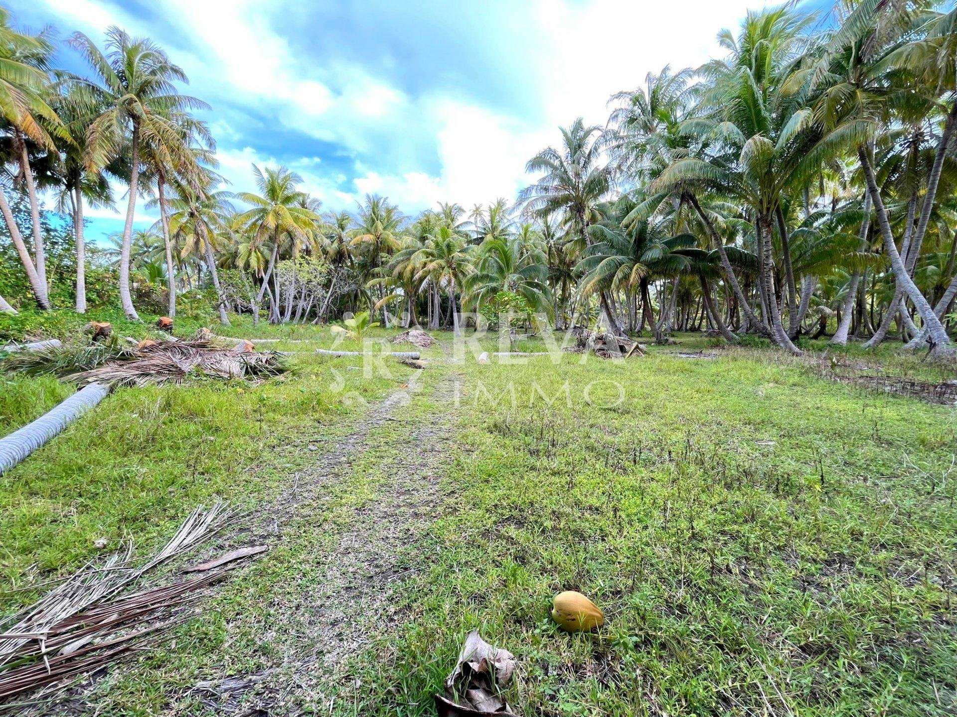 Land in Maupiti, Îles Sous-le-Vent 10814884