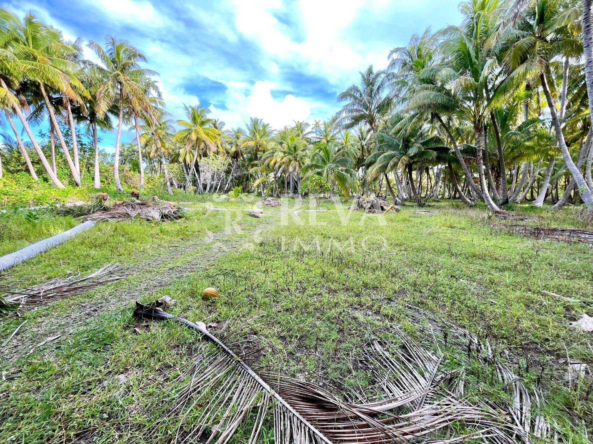 Tierra en Faanui, Islas Sous-le-Vent 10814884