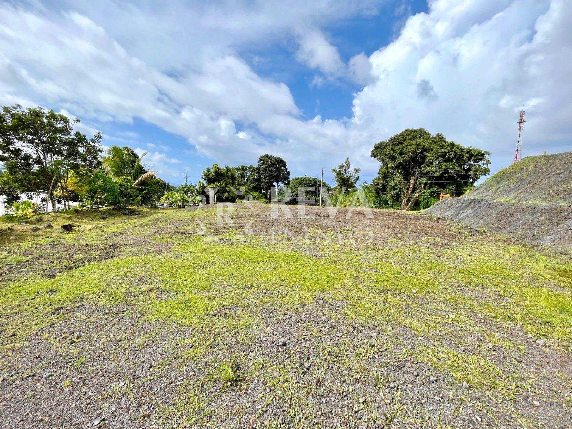 Land in Pohua, Iles du Vent 10815059