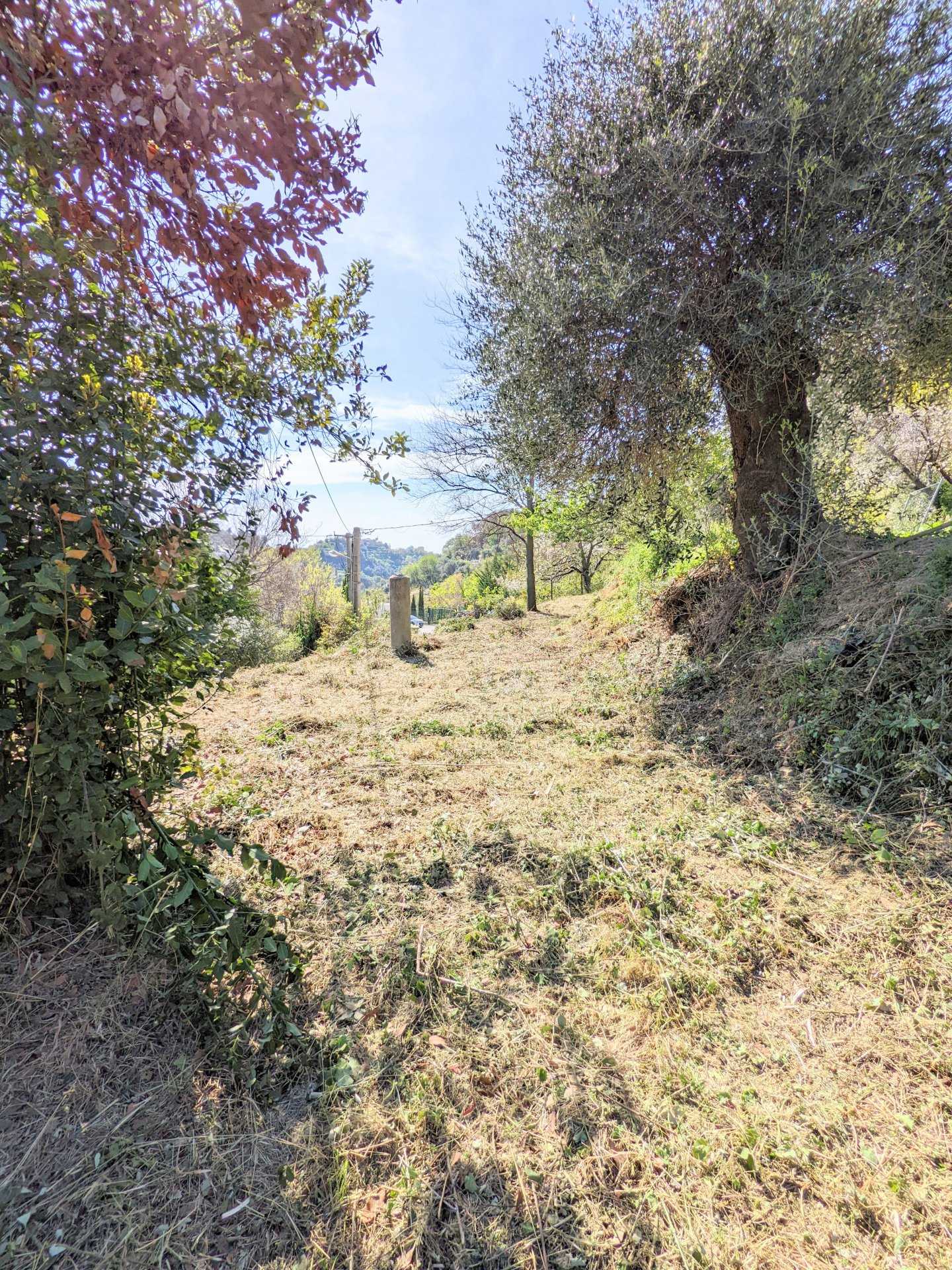 Maa sisään Castellar, Provence-Alpes-Cote d'Azur 10816858