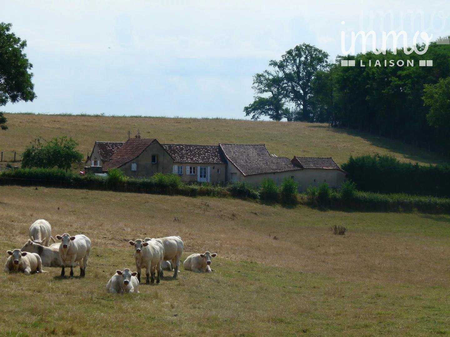 σπίτι σε Marcigny, Bourgogne-Franche-Comte 10818735