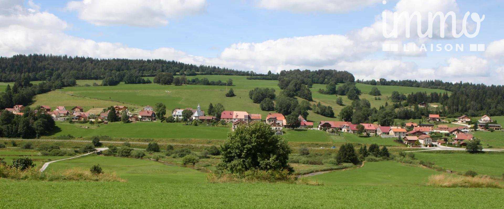 Eigentumswohnung im Gellin, Burgund-Franche-Comté 10819104
