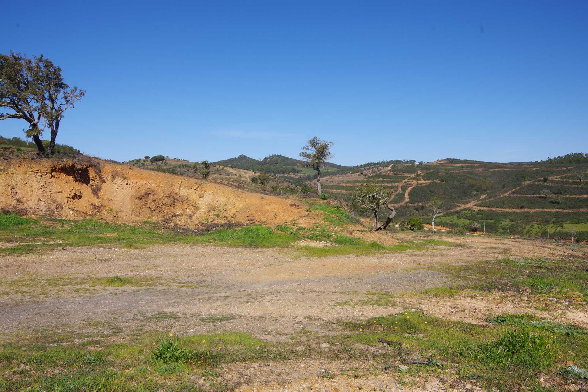 Tanah di Bensafrim, Faro 10820093