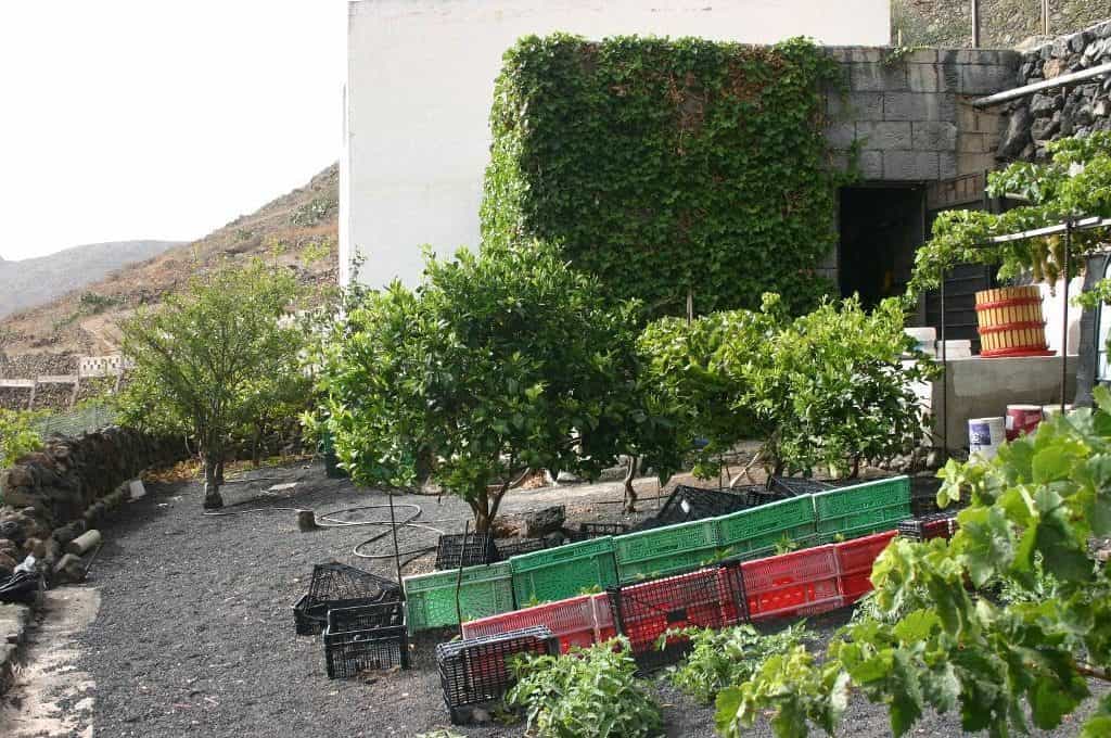 Huis in Teguise, Canarische eilanden 10820572