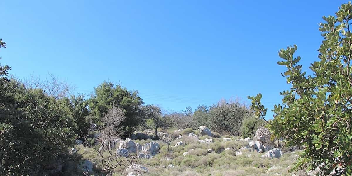 Land in Agios Antonios, Kriti 10821005