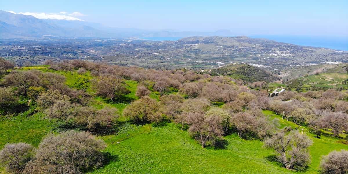 Land in Agios Antonios, Kriti 10821115
