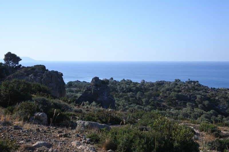 Terre dans Agios Antonios, Kriti 10821216