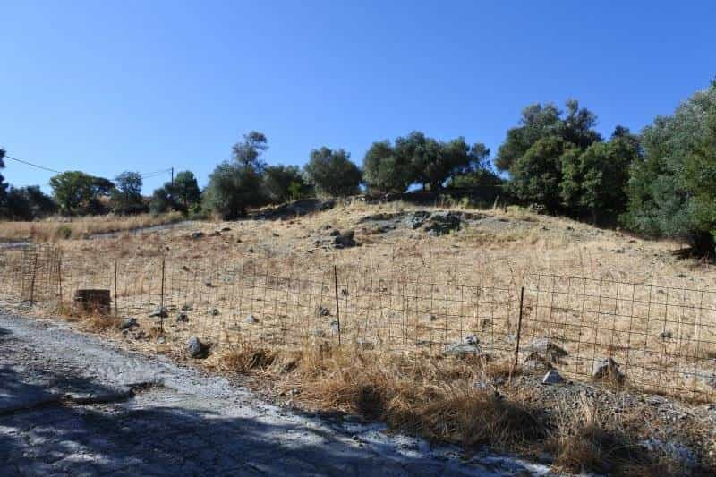 Terre dans Agios Antonios, Kriti 10821224