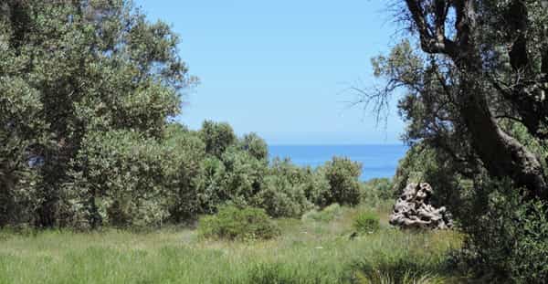 Tanah di Agios Antonios, Kriti 10821246