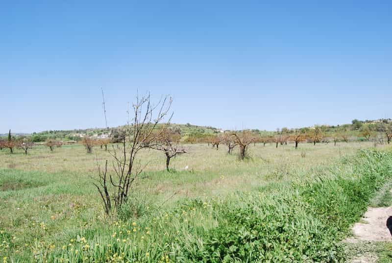 Land in Tala, Pafos 10825094